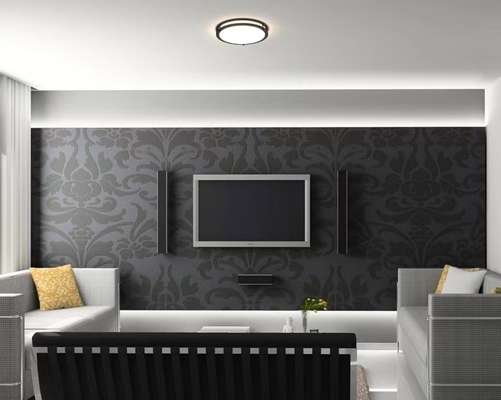 Modernes Design 14 Zoll 21W 5CCT LED Doppelring Deckenlicht CL-B1425 mit DIY Funktion