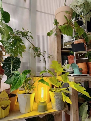 80 Ra Künstlerische Geschenke Mückenschutzlicht für Nachtlicht Festival und Tischlampe