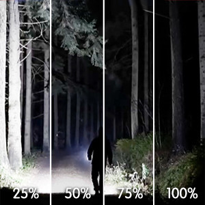 Notfallwartungsprüfung 2600 Lumens LED-Arbeitslicht