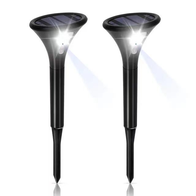 Außen Solar Sensing Eigenlicht Ladegartenlampe für Landschaftsweg Gartenweg