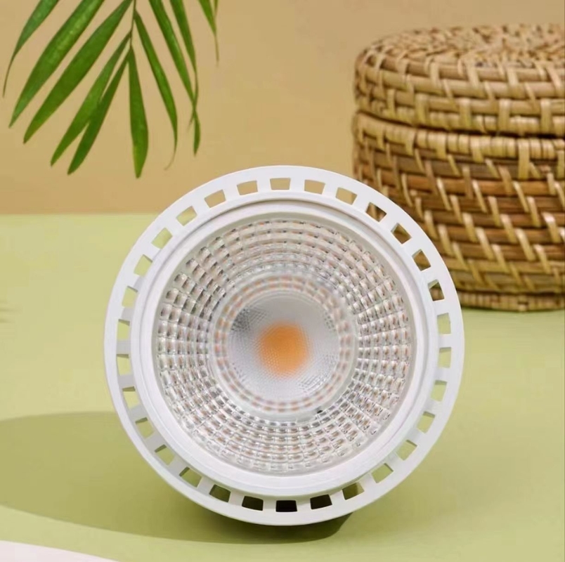 LED-Anlagenwachstumsbeleuchtung 20W LEDPAR30 mit 85V-265V Eingangsspannung und sonstiger Basisart
