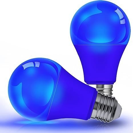 Blaue LED-Glühlampe A19 9W E26 Nicht-Dimm für Weihnachtsbeleuchtung im Freien und Kreislaufdesign